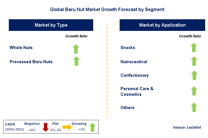 Baru Nut Market by Segment