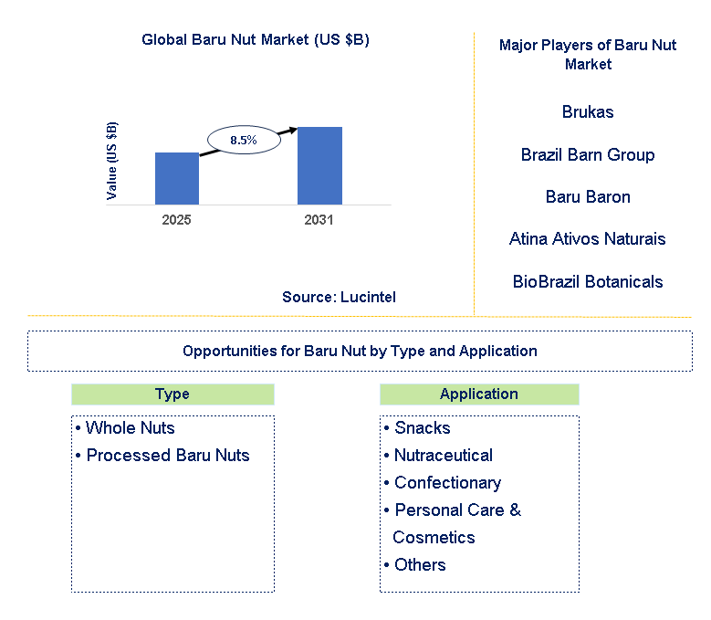 Baru Nut Market Trends and Forecast