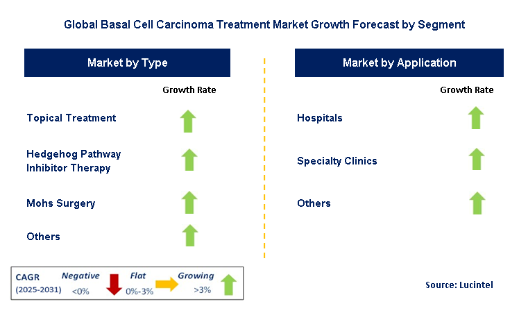 Basal Cell Carcinoma Treatment Market by Segment