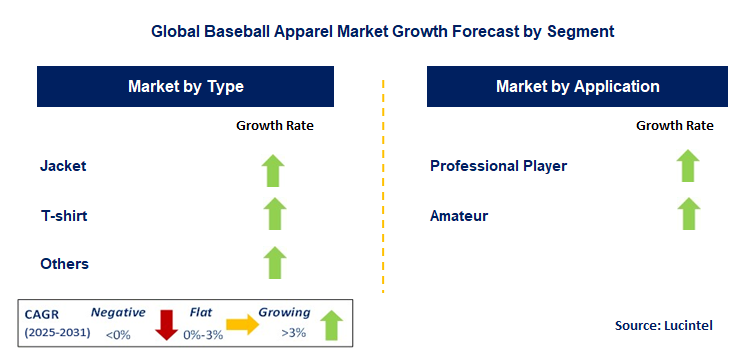 Baseball Apparel Market by Segment