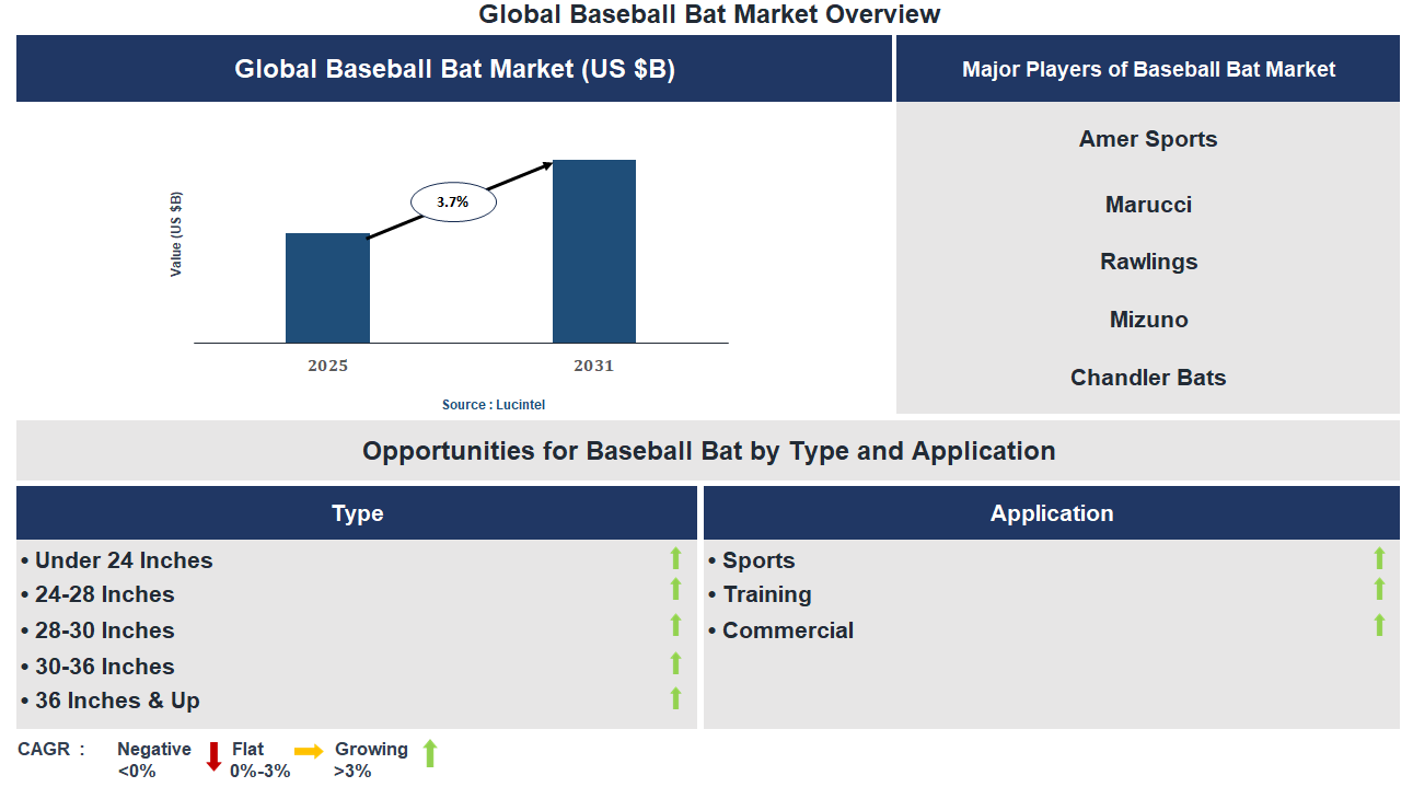 Baseball Bat Market Trends and Forecast