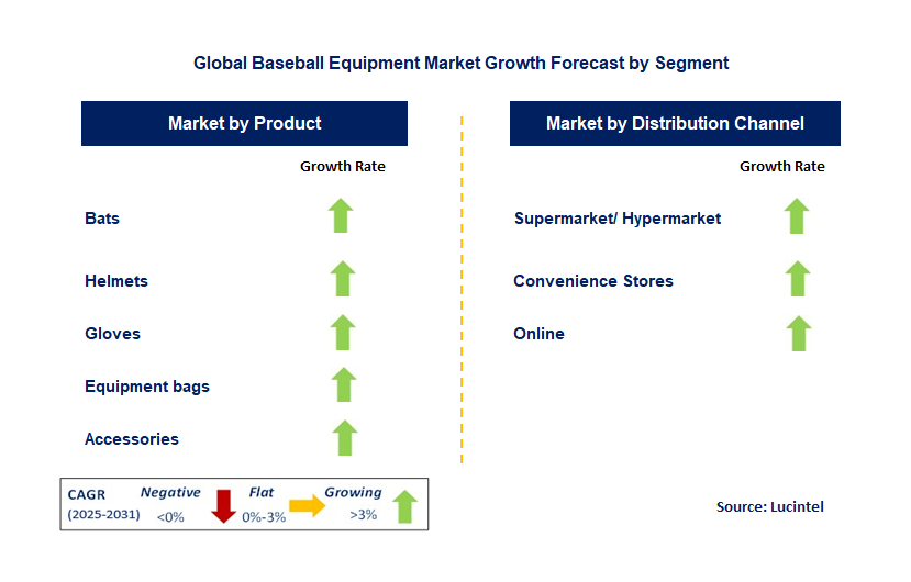 Baseball Equipment Market by Segment