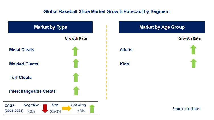 Baseball Shoe Market by Segment