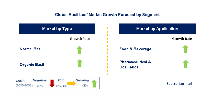 Basil Leaf Market by Segment