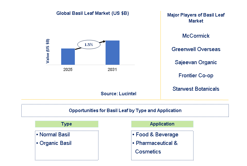 Basil Leaf Market Trends and Forecast