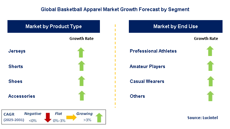 Basketball Apparel Market by Segment
