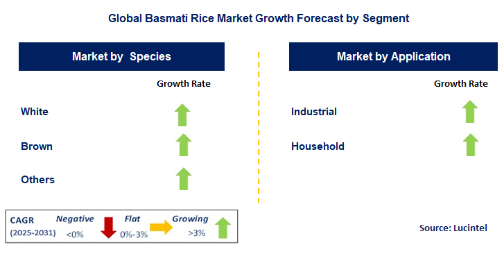 Basmati Rice Market by Segment