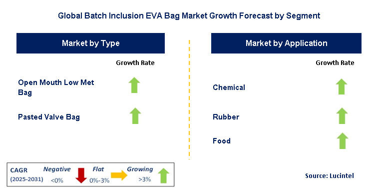 Batch Inclusion EVA Bag Market by Segment