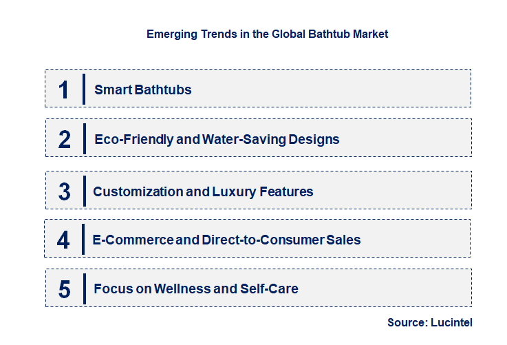 Emerging Trends in the Bathtub Market