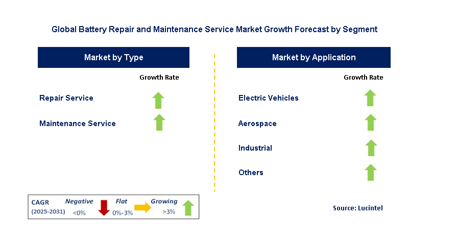 Battery Repair and Maintenance Service Market by Segment