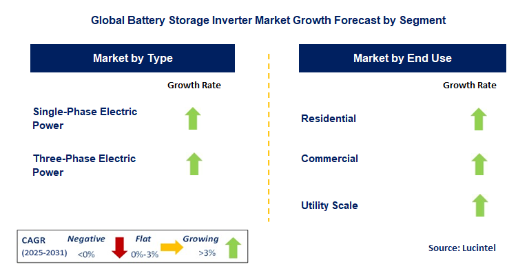 Battery Storage Inverter Market by Segment