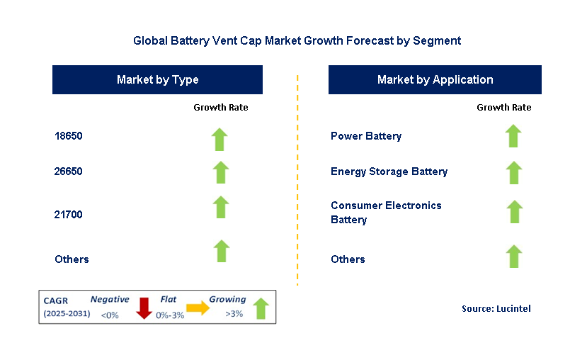 Battery Vent Cap Market by Segment