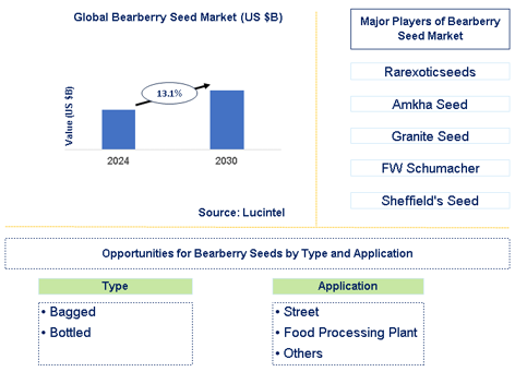 Bearberry Seed Market Trends and Forecast