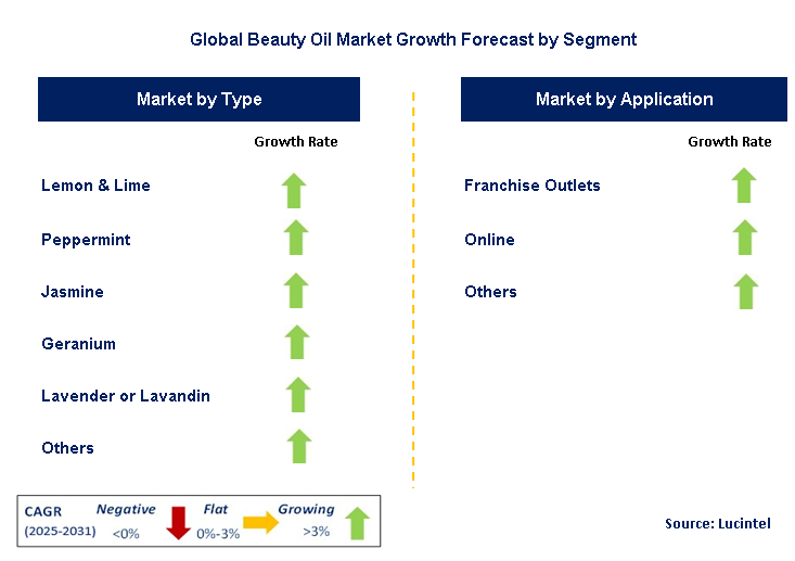 Beauty Oil Market by Segment