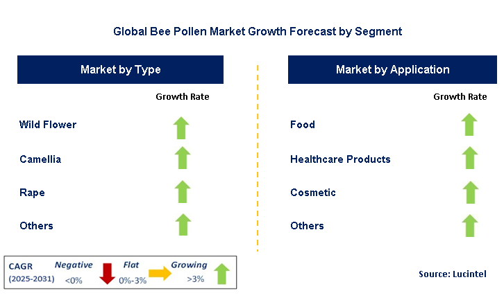 Bee Pollen Market by Segment