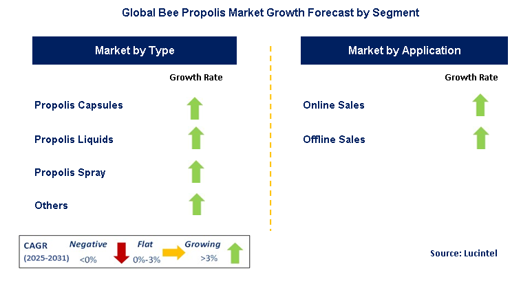 Bee Propolis Market by Segment