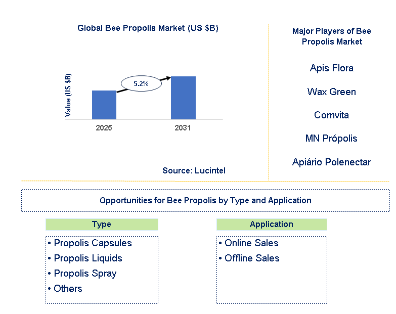 Bee Propolis Market Trends and Forecast