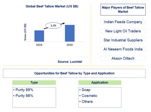 Beef Tallow Trends and Forecast