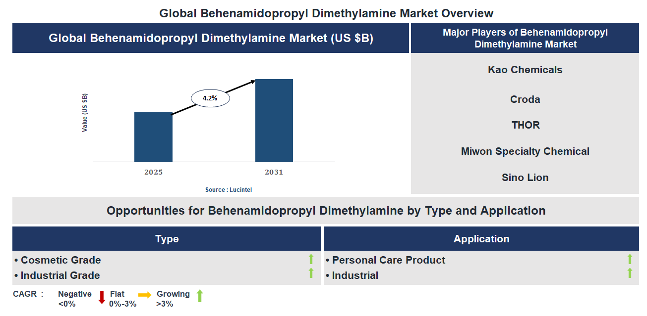 Behenamidopropyl Dimethylamine Market Trends and Forecast