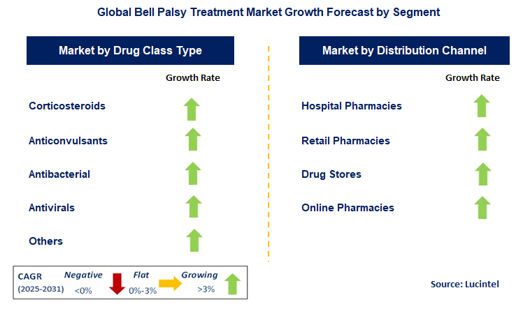 Bell Palsy Treatment Market by Segment