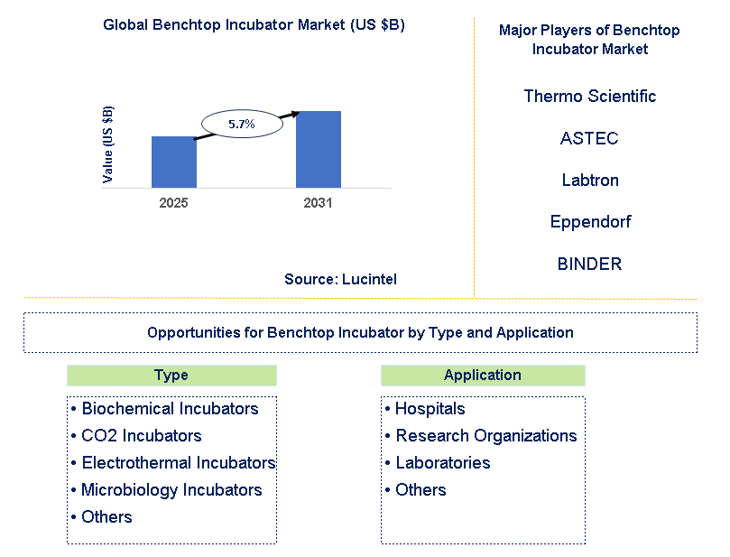 Benchtop Incubator Market Trends and Forecast