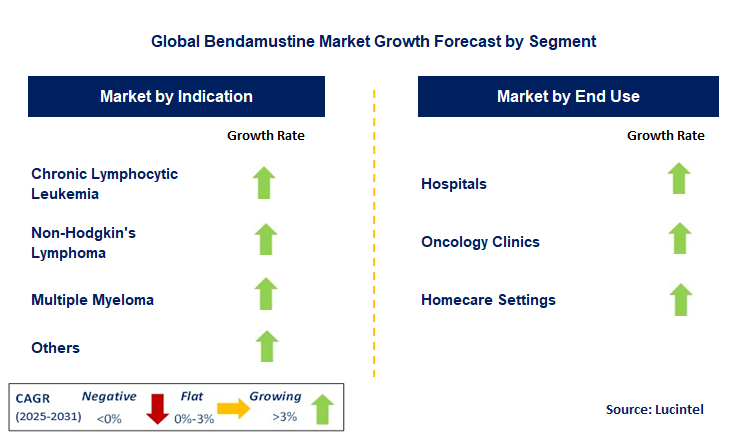 Bendamustine Market by Segment