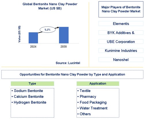 Bentonite Nano Clay Powder Market Trends and Forecast
