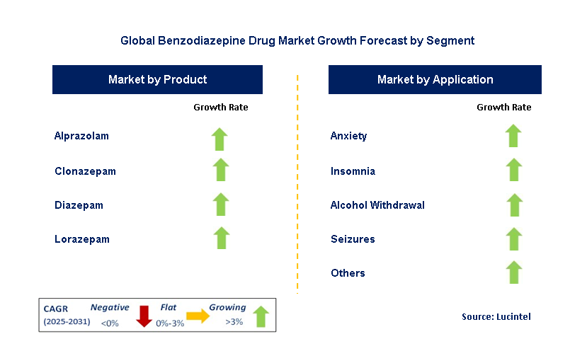 Benzodiazepine Drug Market by Segment