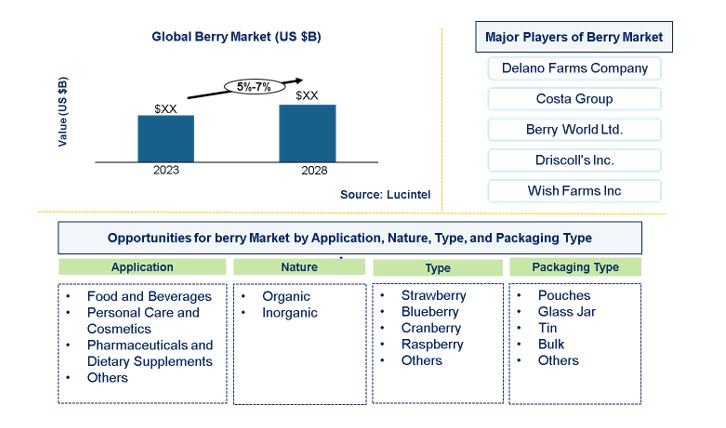 Berry Market by Application, Nature, Type, Distribution Channel, and Packaging