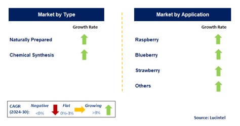 Berry Plant Fertilizer by Segment