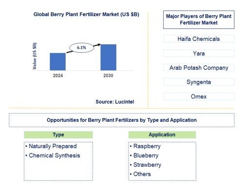 Berry Plant Fertilizer Trends and Forecast