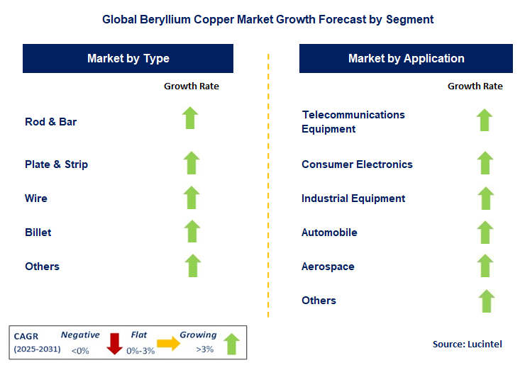 Beryllium Copper Market by Segment