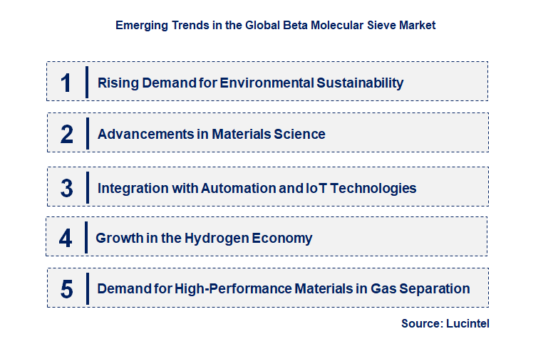 Emerging Trends in the Beta Molecular Sieve Market