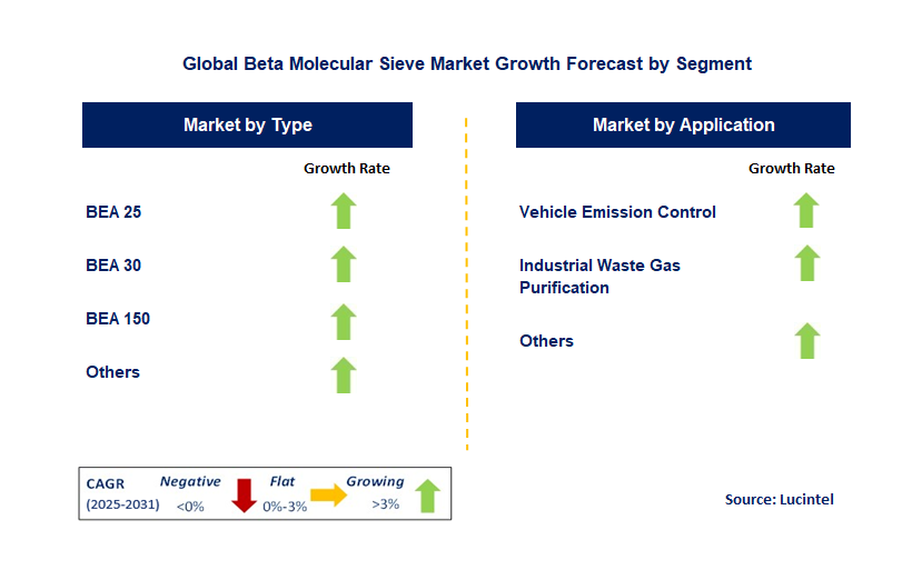 Beta Molecular Sieve Market by Segment