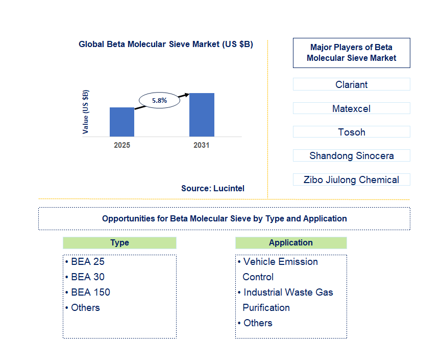 Beta Molecular Sieve Market Trends and Forecast