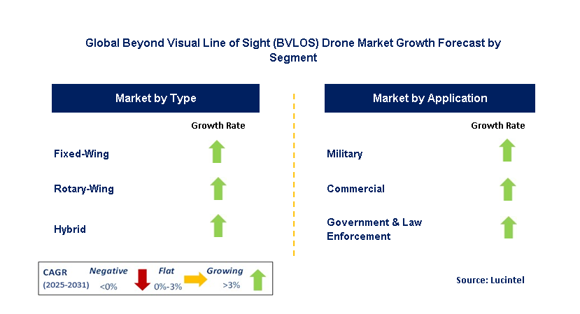 Beyond Visual Line of Sight (BVLOS) Drone Market by Segment