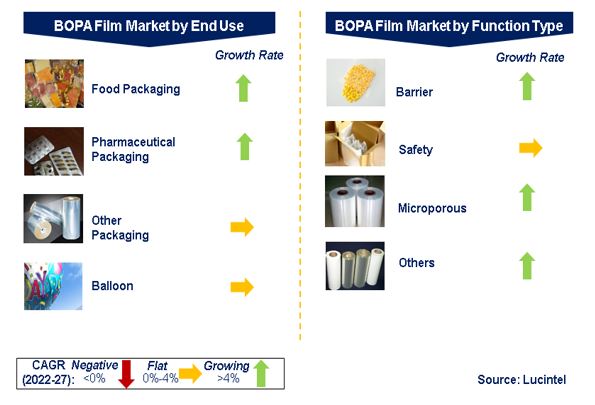 Biaxially Oriented Polyamide (BOPA) Film Market by Segments
