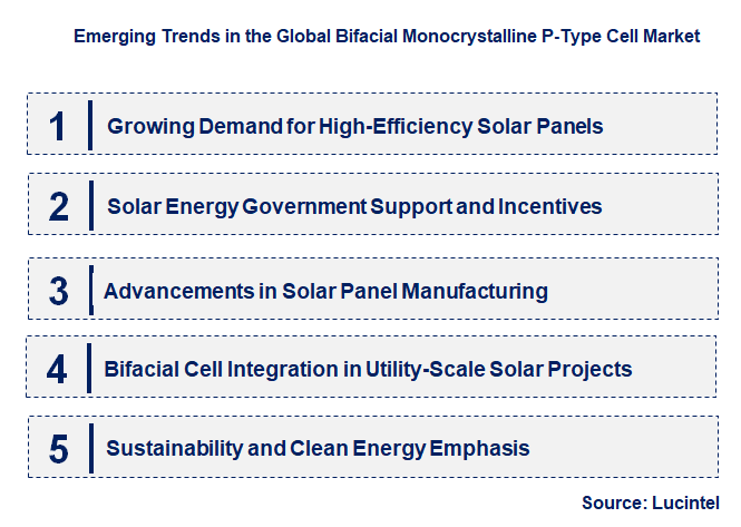 Emerging Trends in the Bifacial Monocrystalline P-Type Cell Market