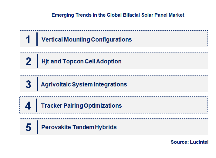 Emerging Trends in the Bifacial Solar Panel Market