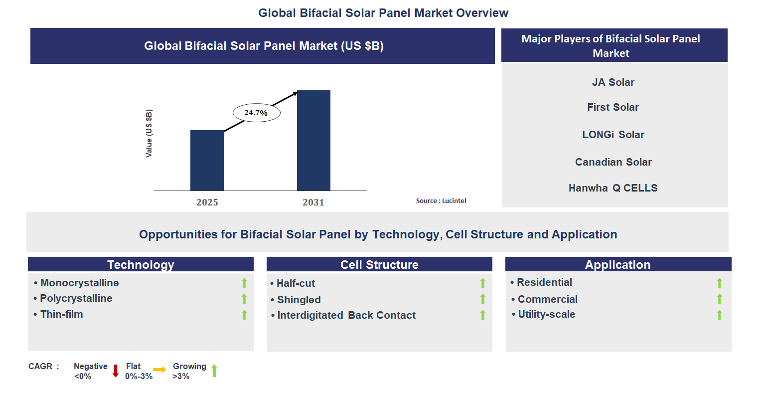 Bifacial Solar Panel Market Trends and Forecast