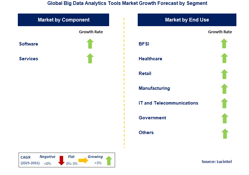 Big Data Analytics Tools Market by Segment