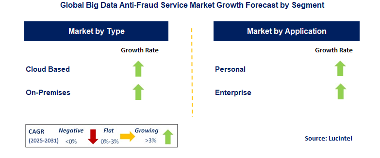 Big Data Anti-Fraud Service Market by Segment