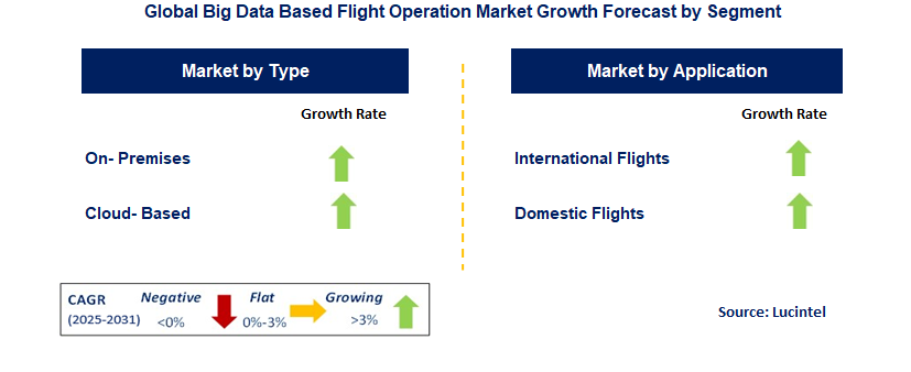 Big Data Based Flight Operation Market by Segment