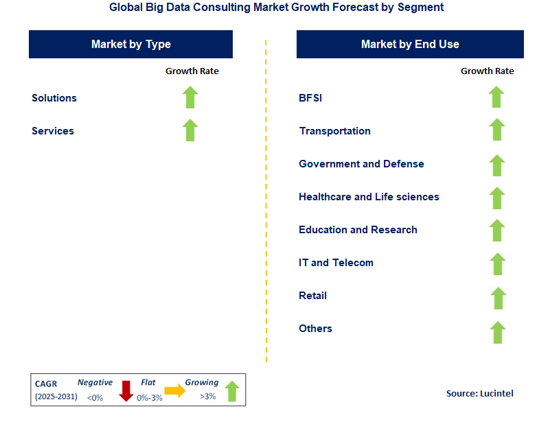 Big Data Consulting Market by Segment