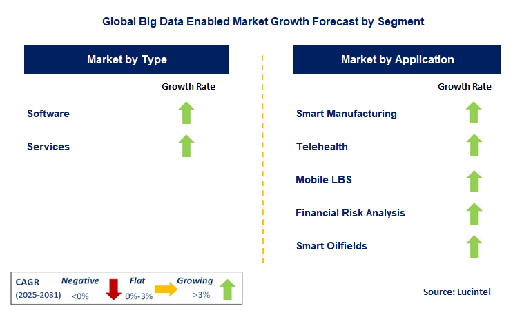 Big Data Enabled Market by Segment