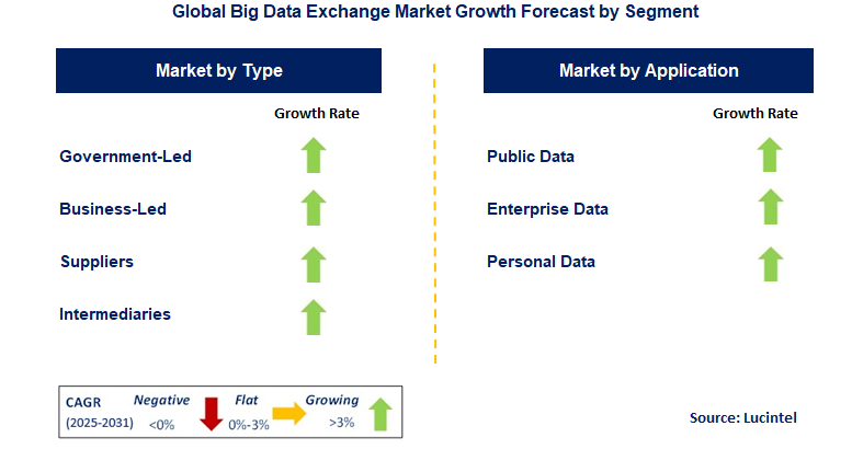 Big Data Exchange Market by Segment
