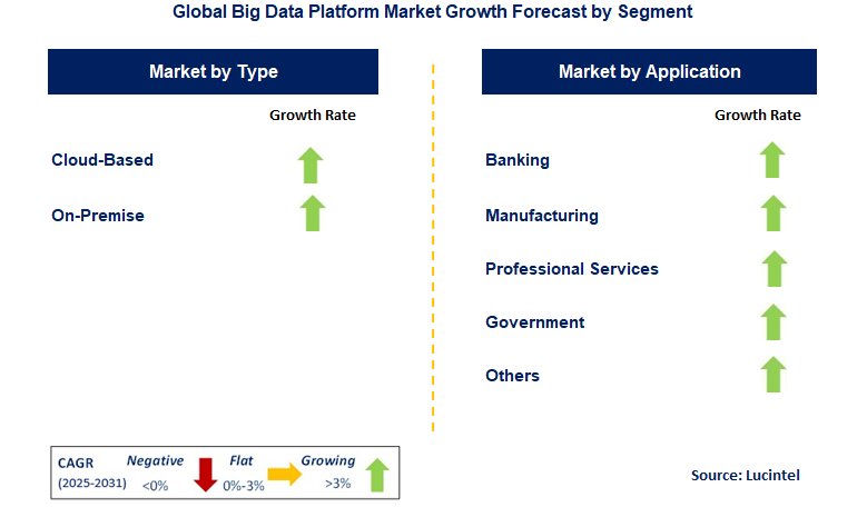Big Data Platform Market by Segment