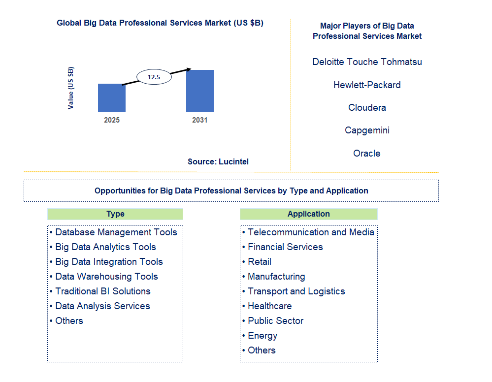Big Data Professional Services Market Trends and Forecast