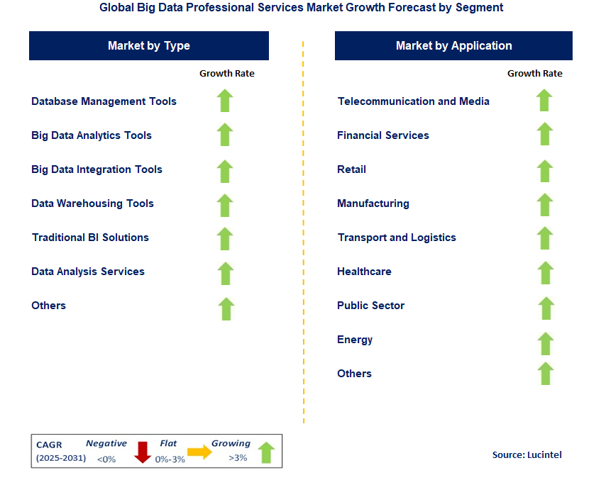Big Data Professional Services Market by Segment