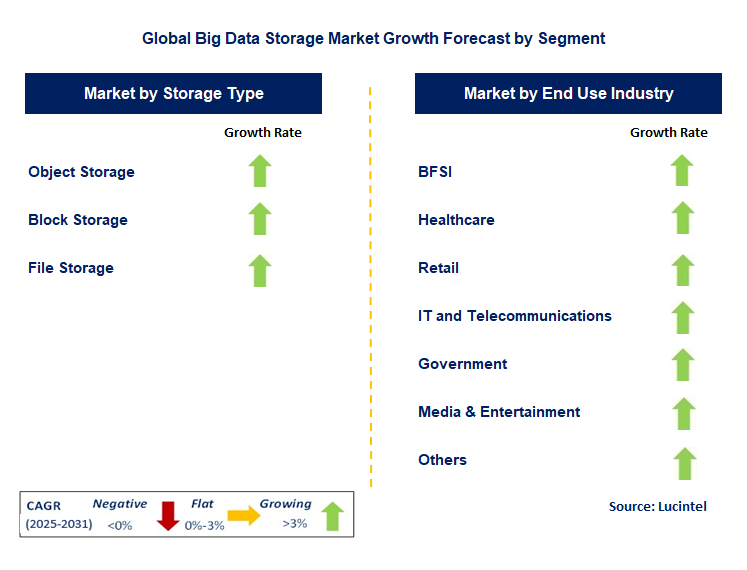 Big Data Storage Market by Segment